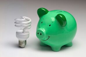 E-Energy - Energy-saving Rose Plug